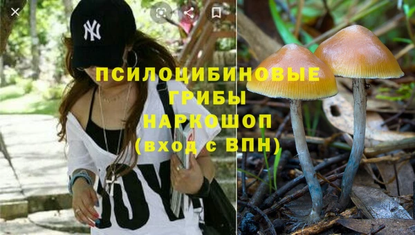 apvp Горняк