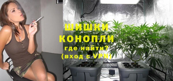 apvp Горняк